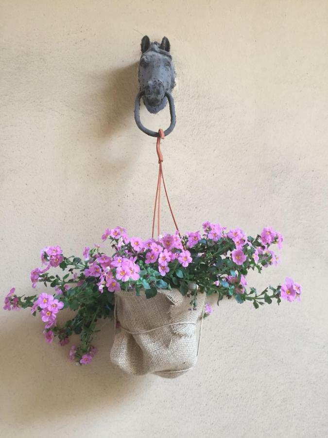 B&B Sabini Palace Altamura Bagian luar foto
